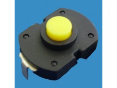ZB205C按鈕手電筒開關