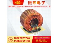 磁環(huán)電感06