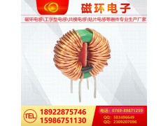 磁環(huán)電感07