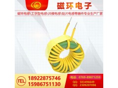 磁環(huán)電感08