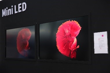 多展聯(lián)動(dòng)、綻放灣區(qū)——2022深圳國際全觸與顯示展蓄勢(shì)待發(fā)~